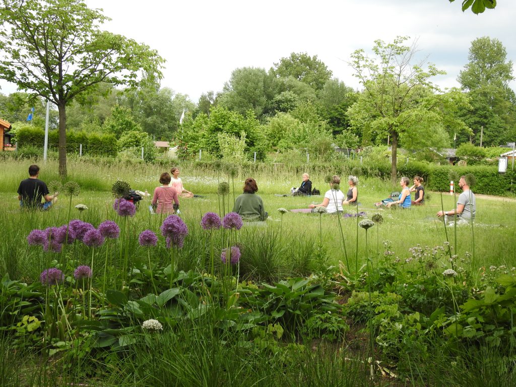 Yoga im Park